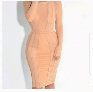 Dress Nude and Mesh (Brand New Never Been Worn)